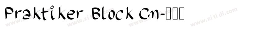 Praktiker Block Cn字体转换